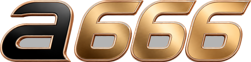 a666